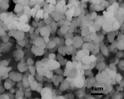 Yttrium Oxide Nanopowder | Y2O3 Nanoparticles