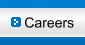 Careers - SkySpring Nanomaterials